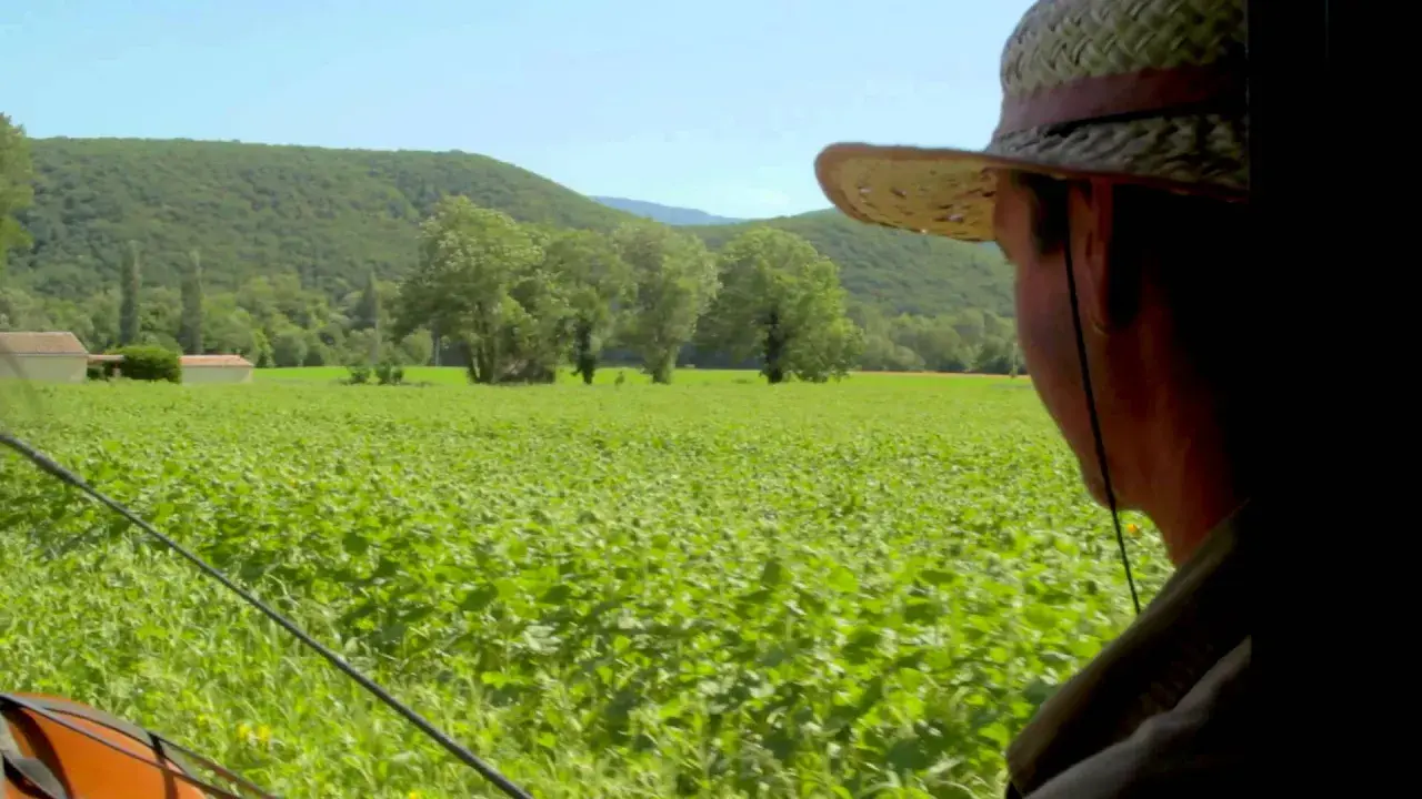 reportage jeremy  avec acajou et carcajou