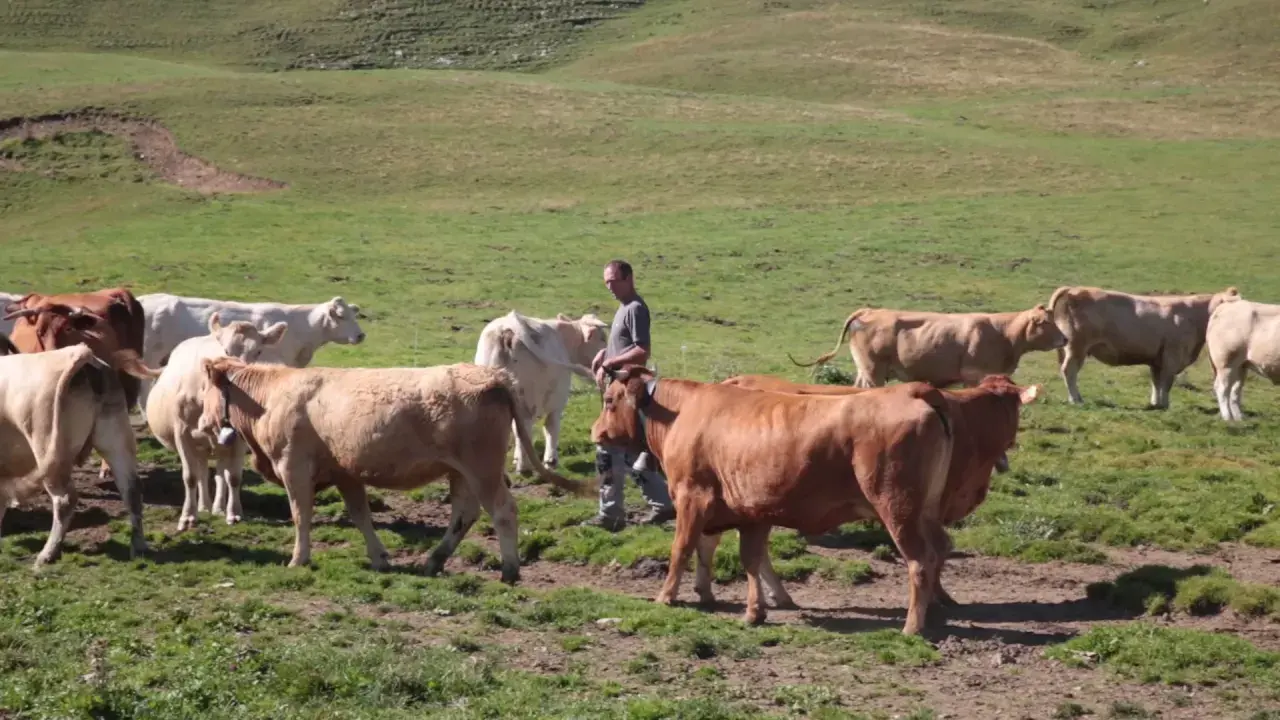 Titre de la vidéo manquant