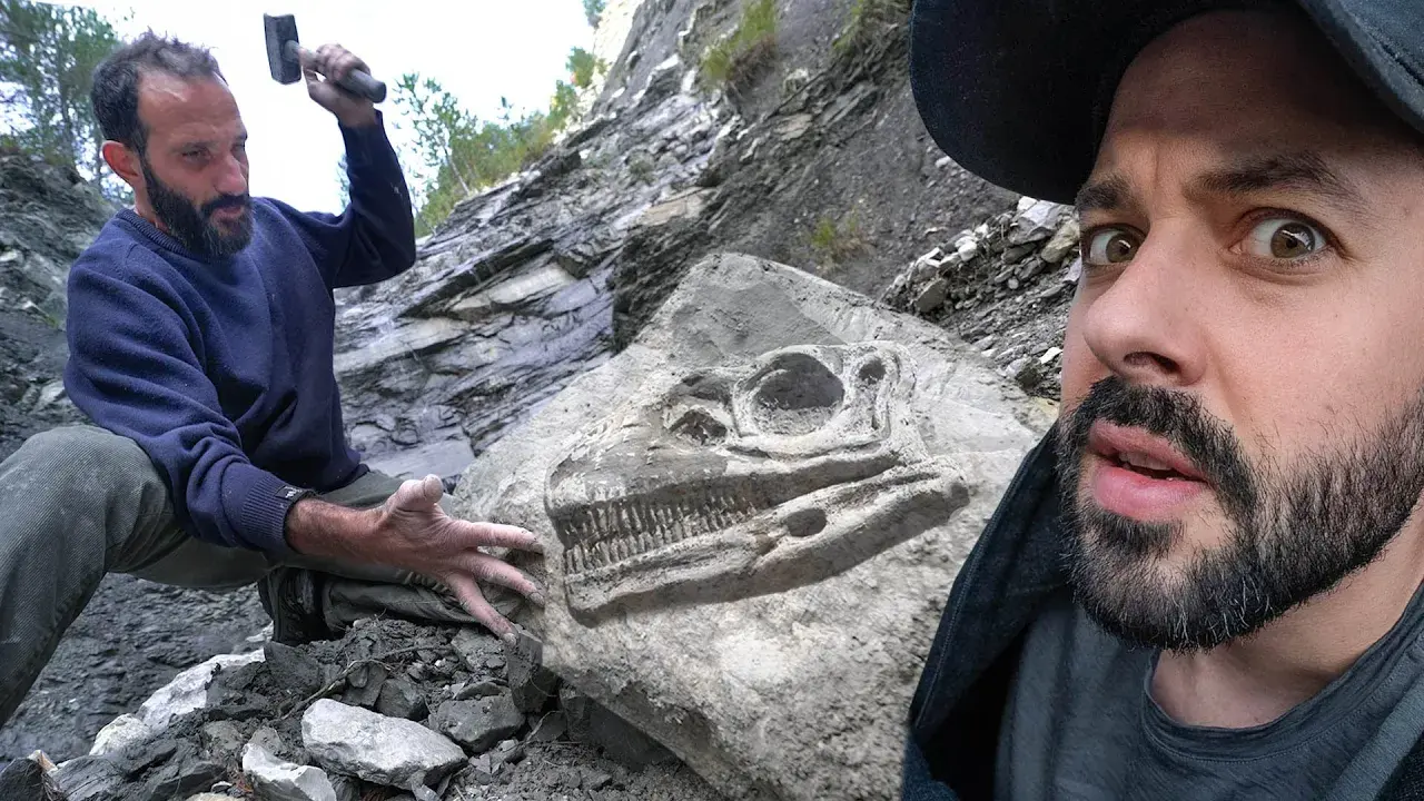 il a découvert des dinosaures!