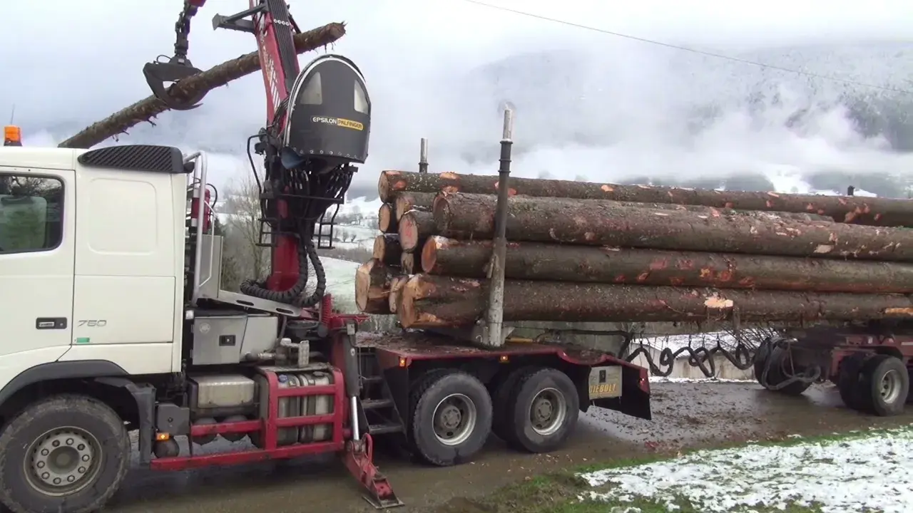 Forêt et savoir-faire en Chartreuse : transport de bois