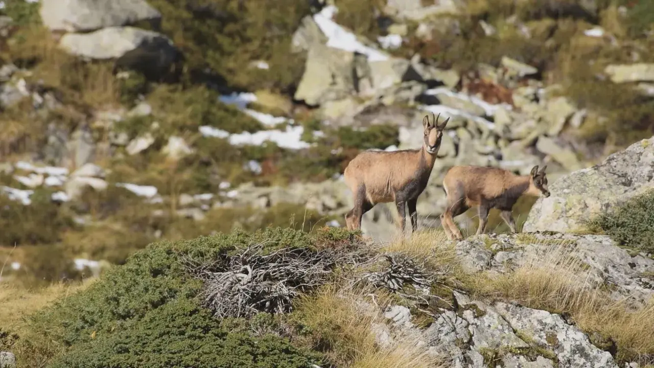 réserve de faune sauvage d'orlu