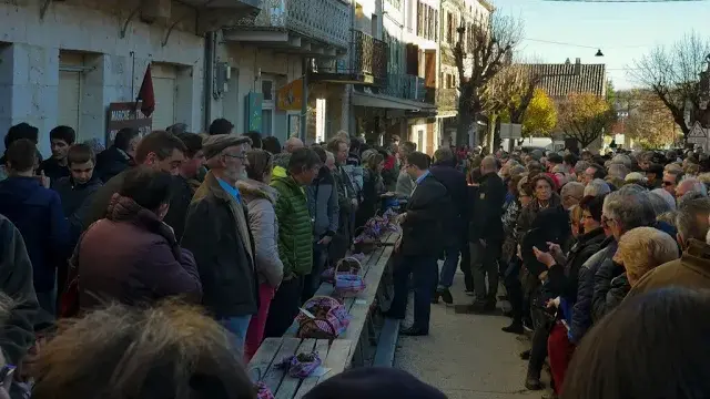 Une journée autour de la truffe à Lalbenque