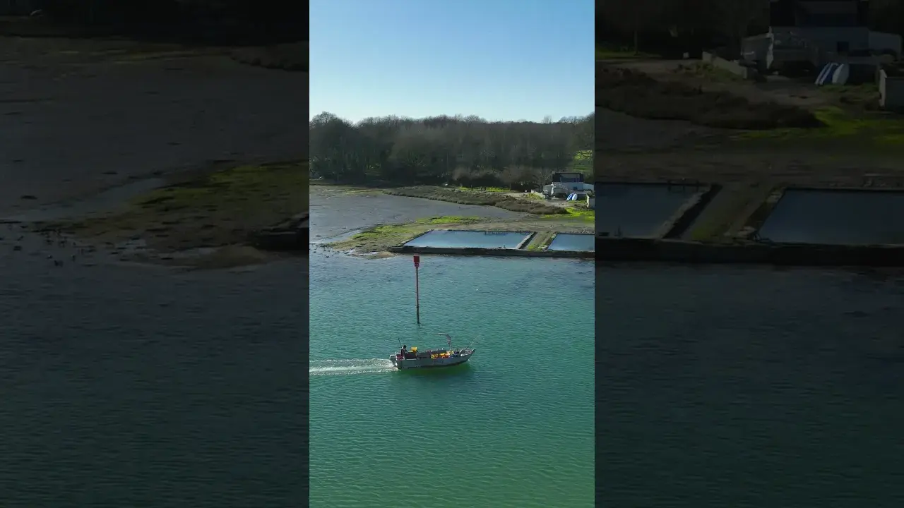 Les Viviers de La Forêt