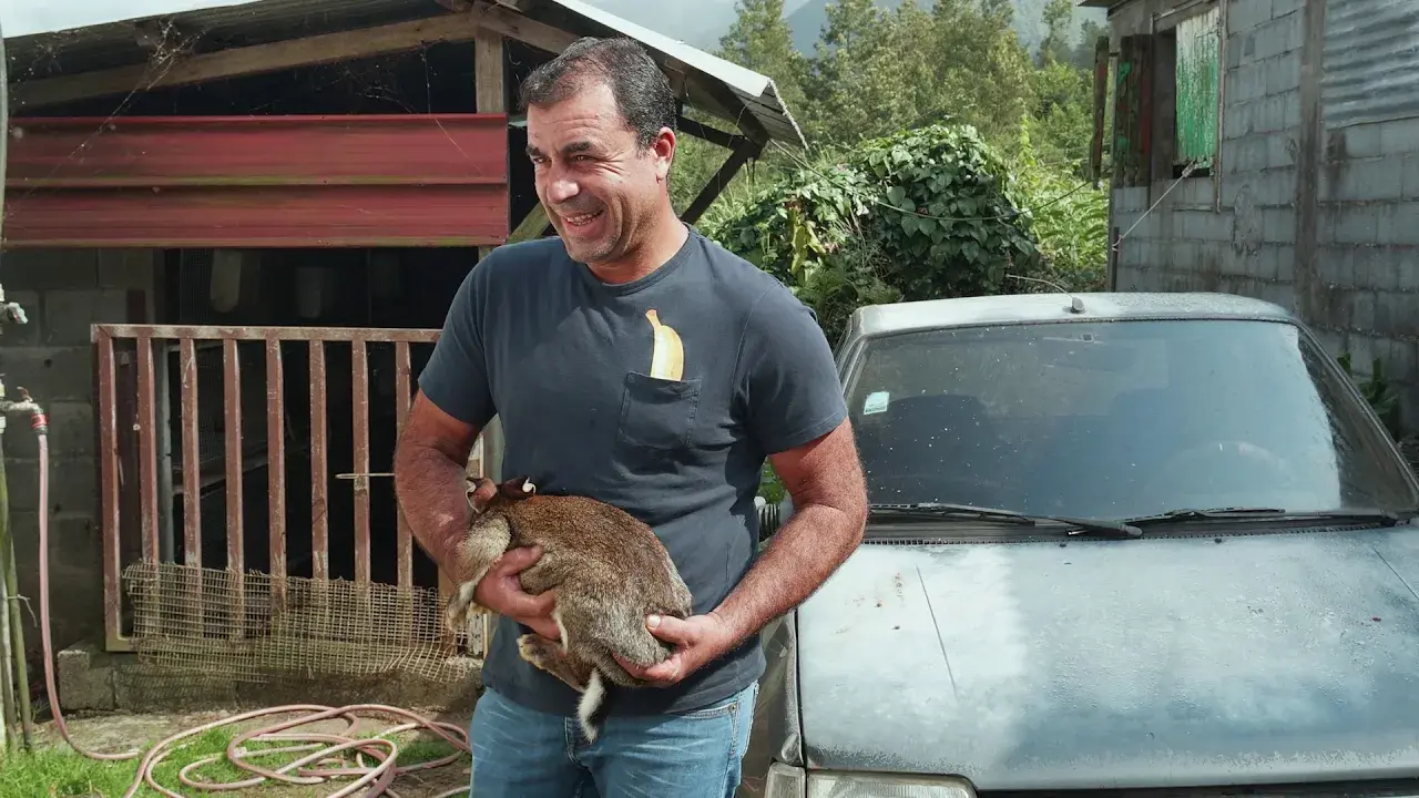 Reunion Island, The Highlands - Land of Mist