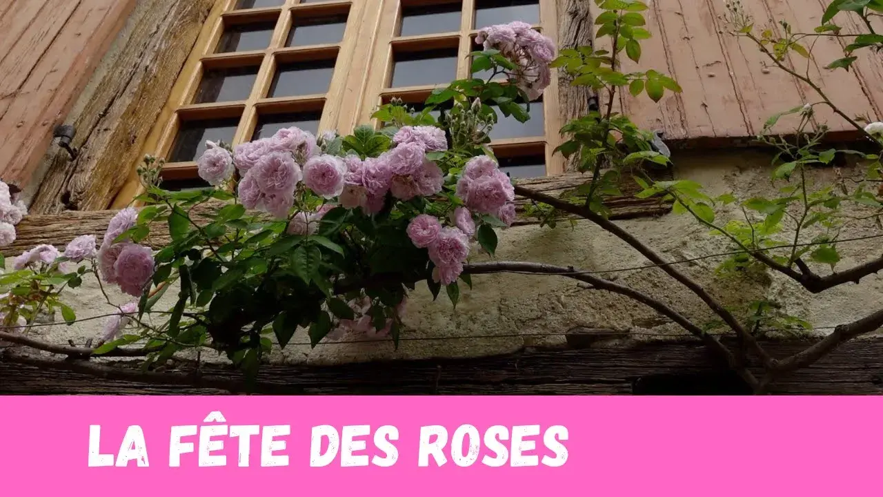 La Vintage Bike Factory vous présente cet événement