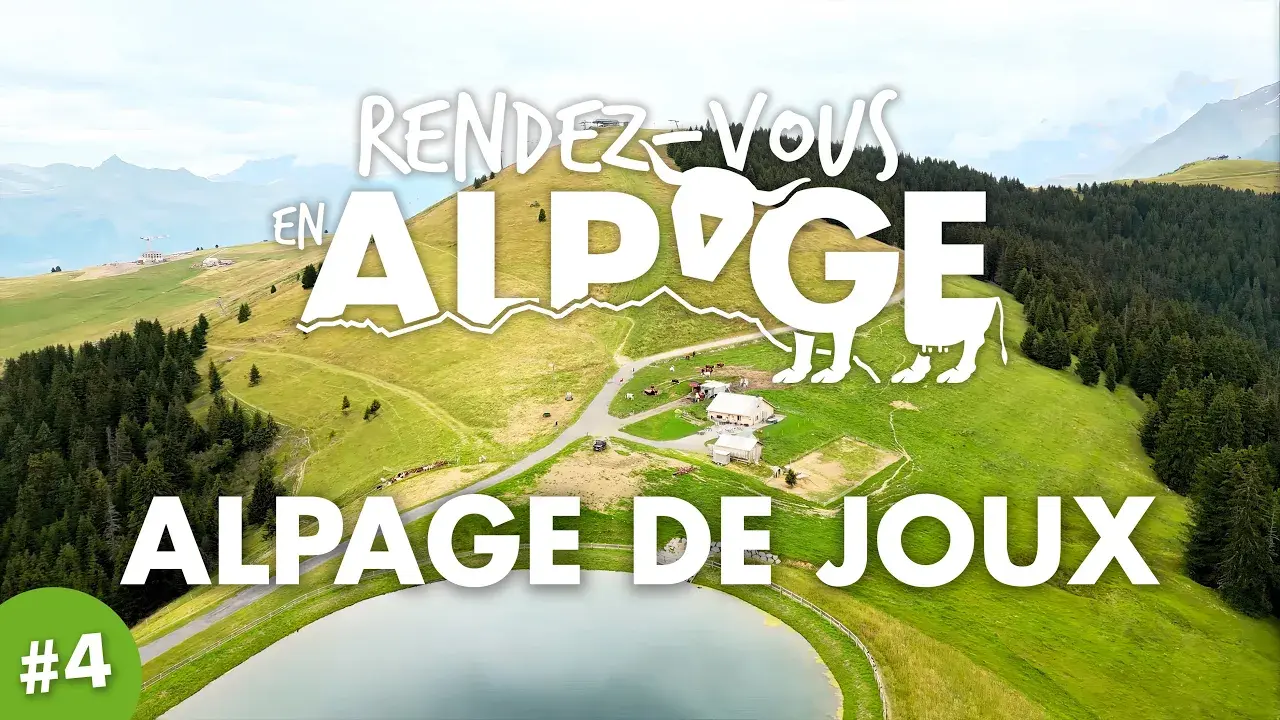 Entre lac et montagne, découvrez l'alpage de Joux