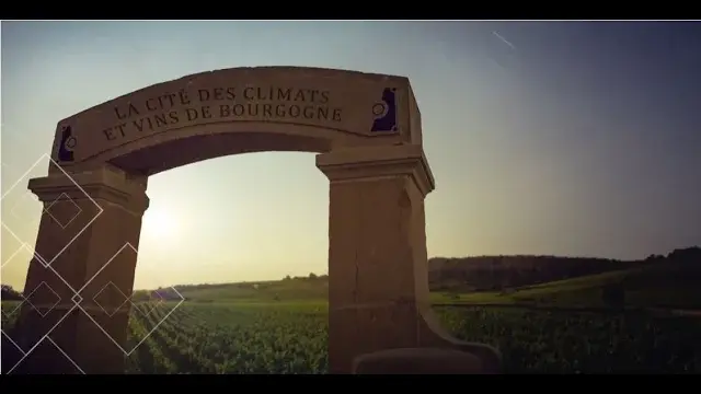 FR - Présentation de la Cité des Climats et vins de Bourgogne - Chablis, Beaune, Mâcon