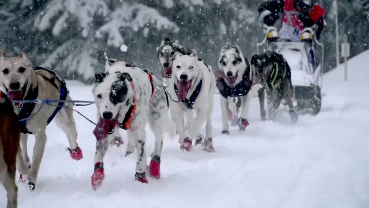 La Grande Odysée Teaser