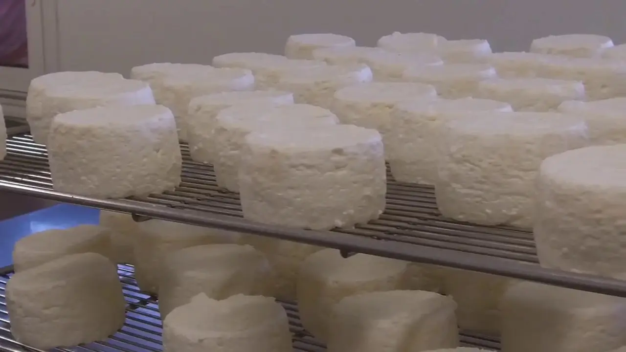 A la découverte des produits locaux