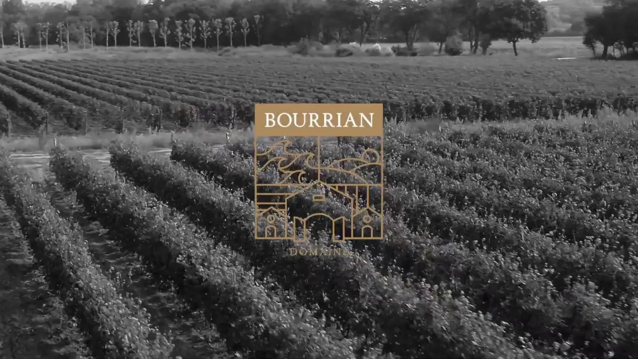 mise en bouteille 2018