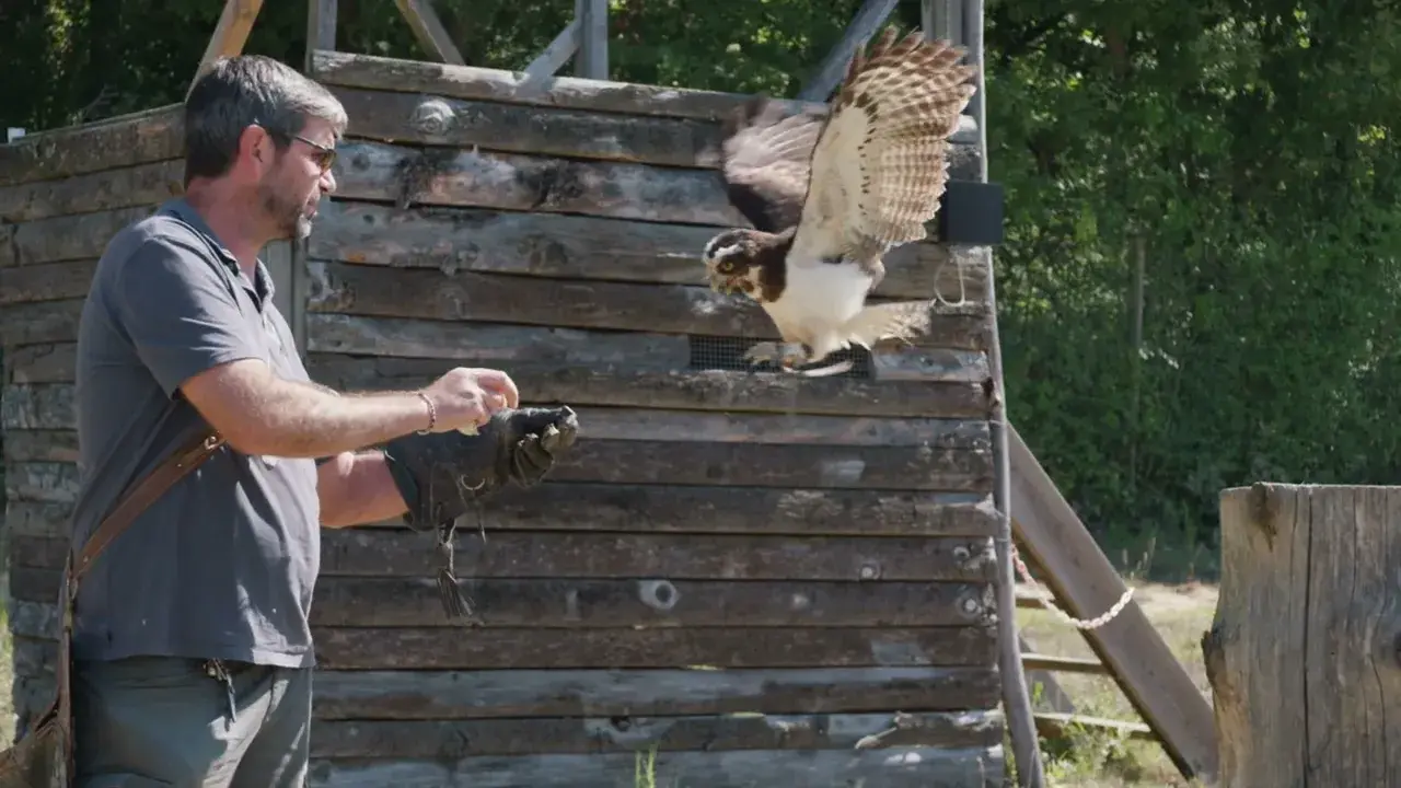 Titre de la vidéo manquant