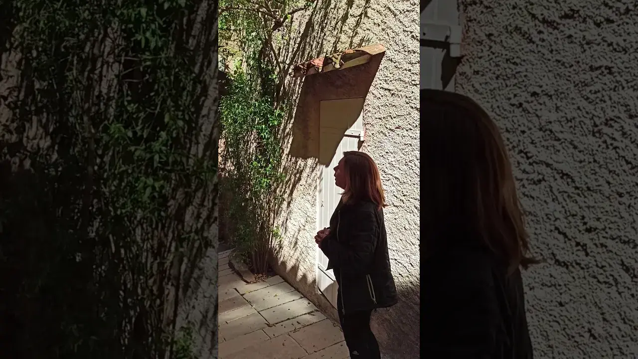 À la découverte de gassin - saison 3 épisode 2 la porte des sarrazins