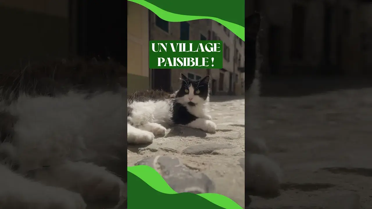 Intrigues à la Brigue