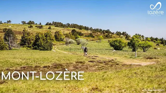 Le Mont-Lozère