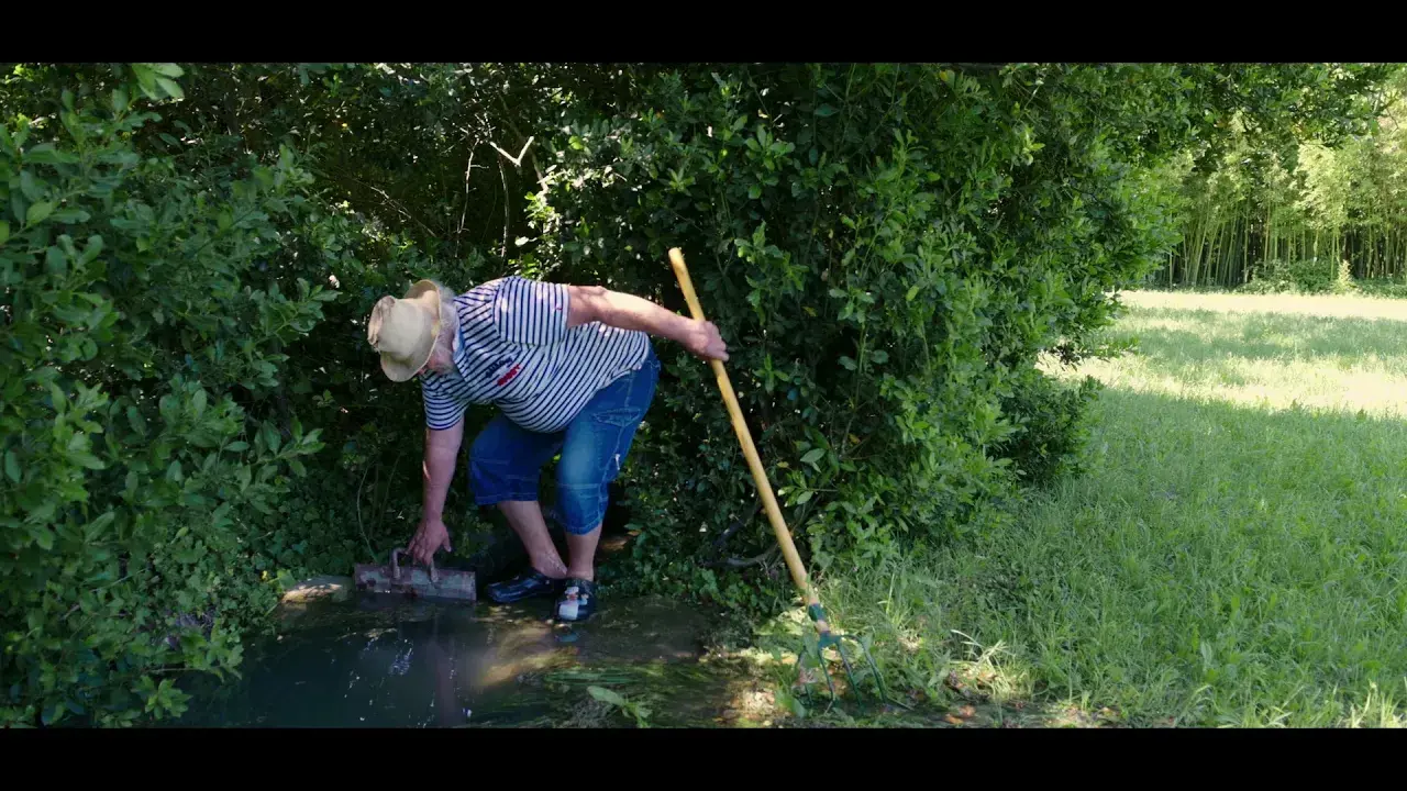 Titre de la vidéo manquant