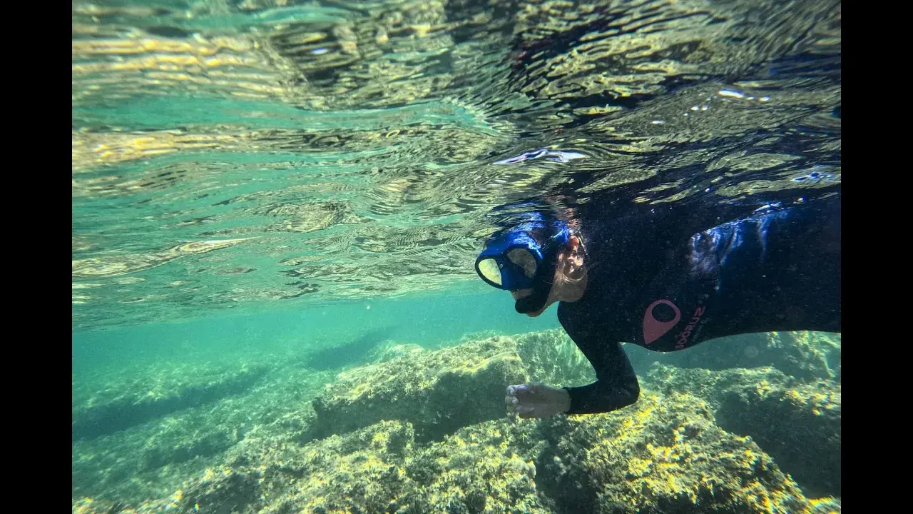 Titre de la vidéo manquant