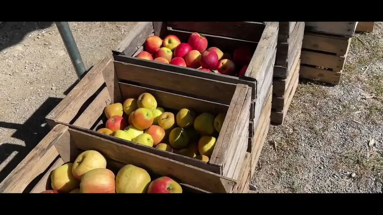 Les Vergers du Grand Murat (Bénévent l'Abbaye)