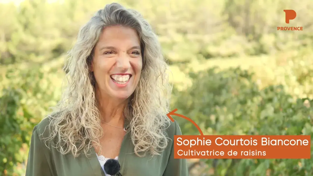 Portrait de Sophie Courtois Biancone, vigneronne dans le Var