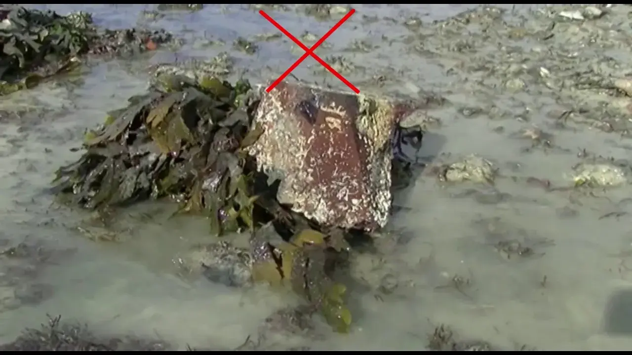 Pêcher l'étrille HD