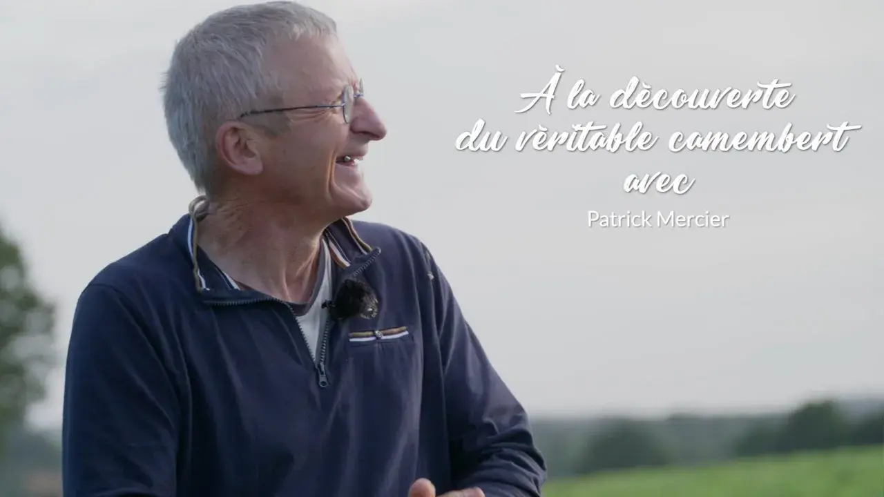 Découverte de la fabrication du véritable camembert
