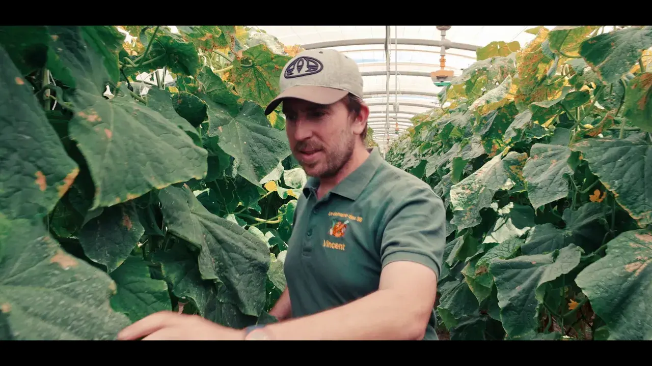 Titre de la vidéo manquant