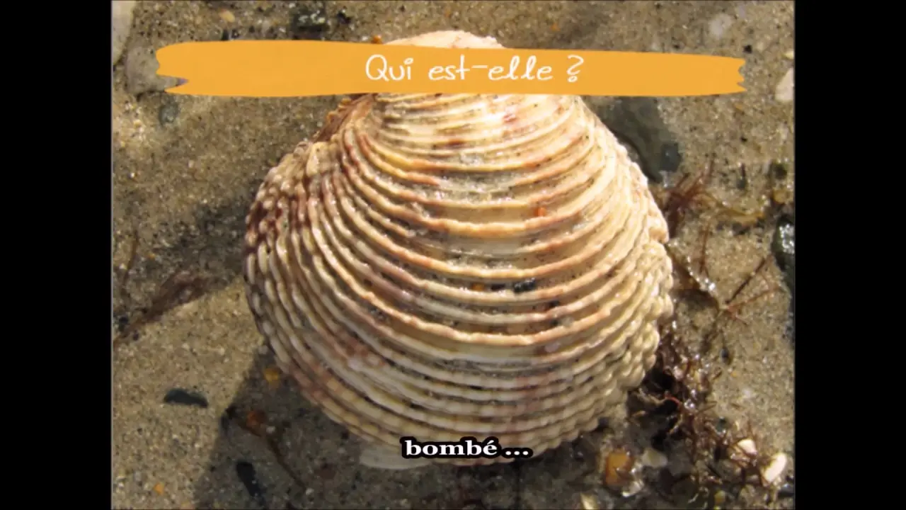 Pêche à la praire par l'APP2R