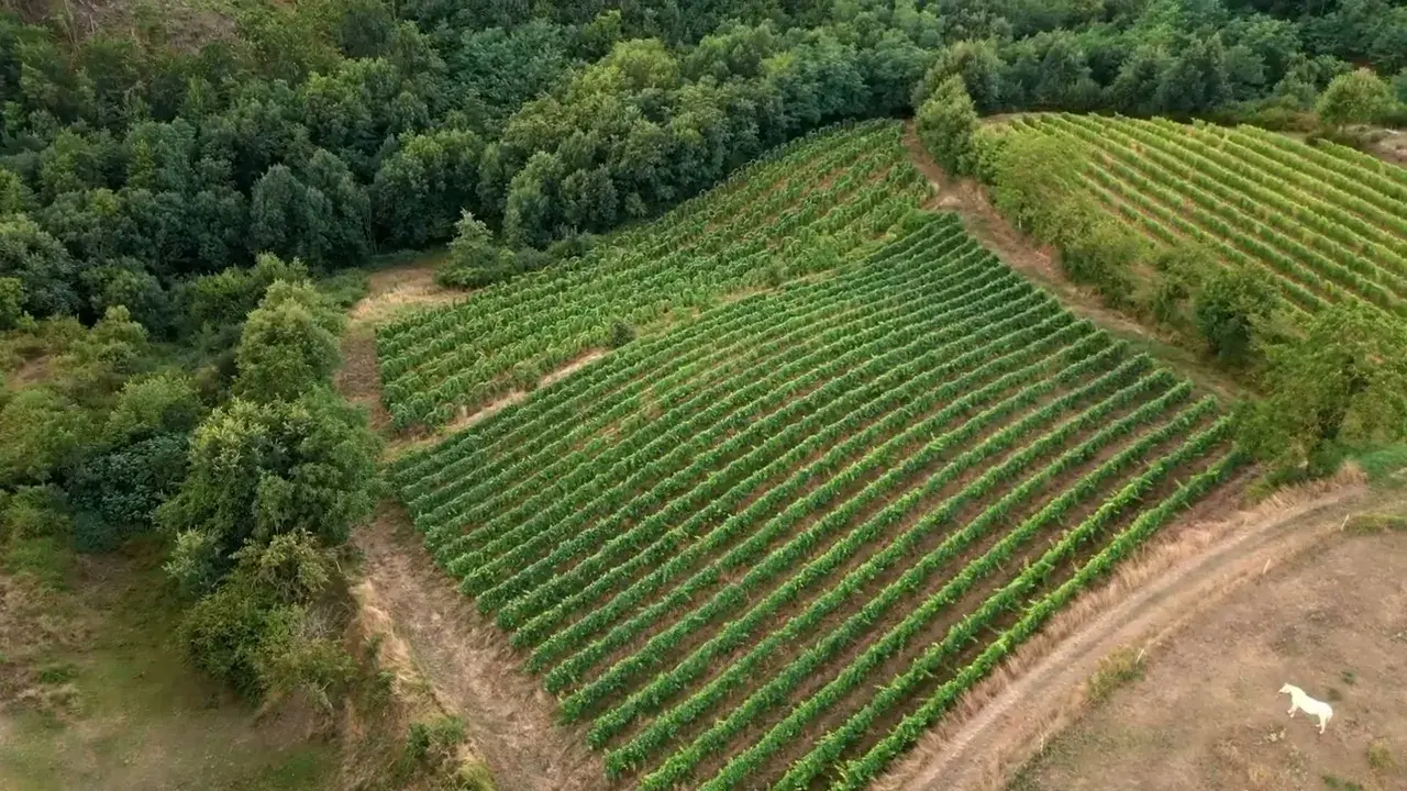 video en drone du domaine des bardes