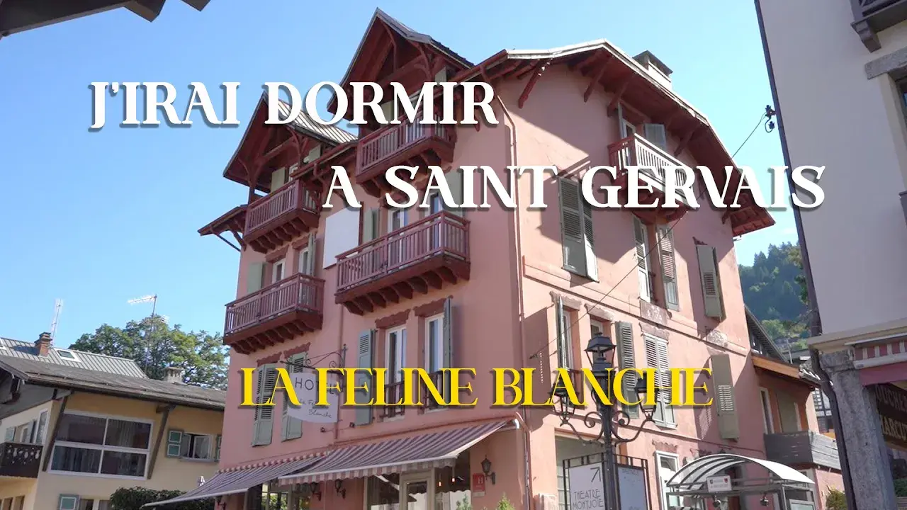 découvrez la féline blanche