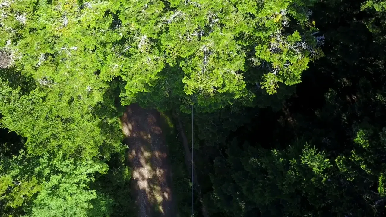 Parcours aventure de l'Ecureuil
