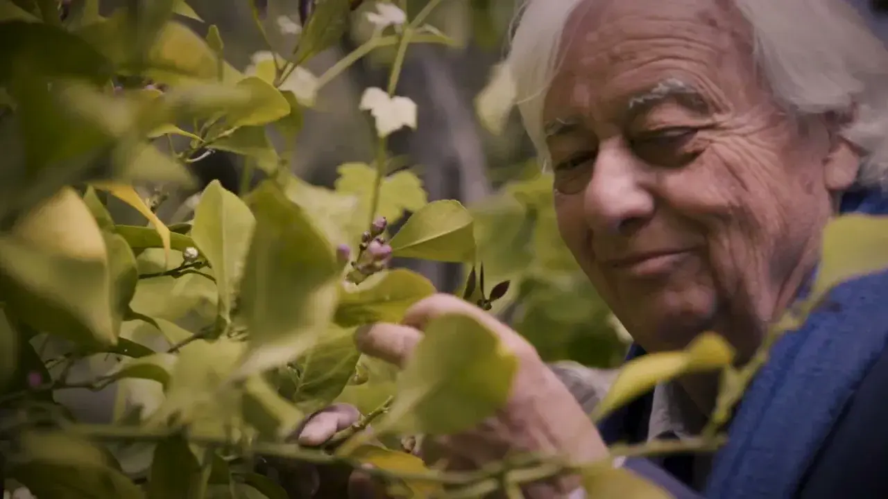 Série "Sur ma Terre #CotedAzurFrance" - Jean Mus