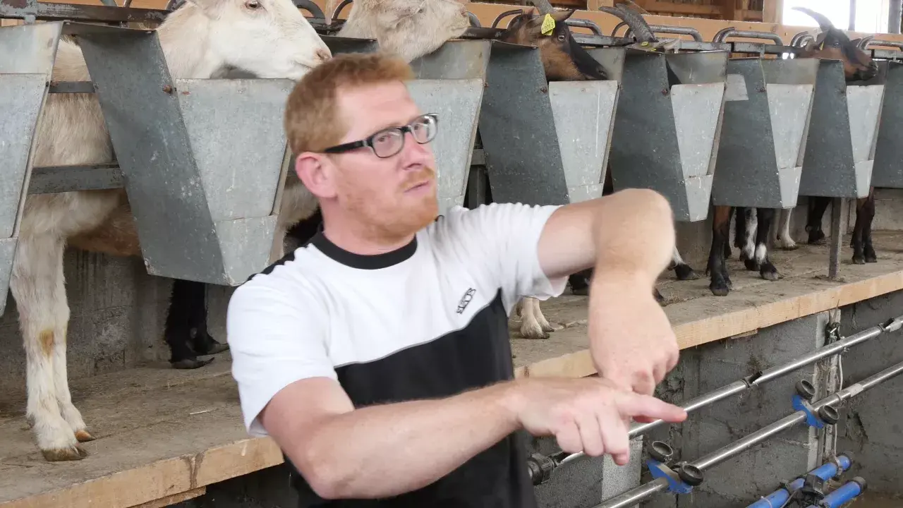 jtcv les chèvres qui dansent