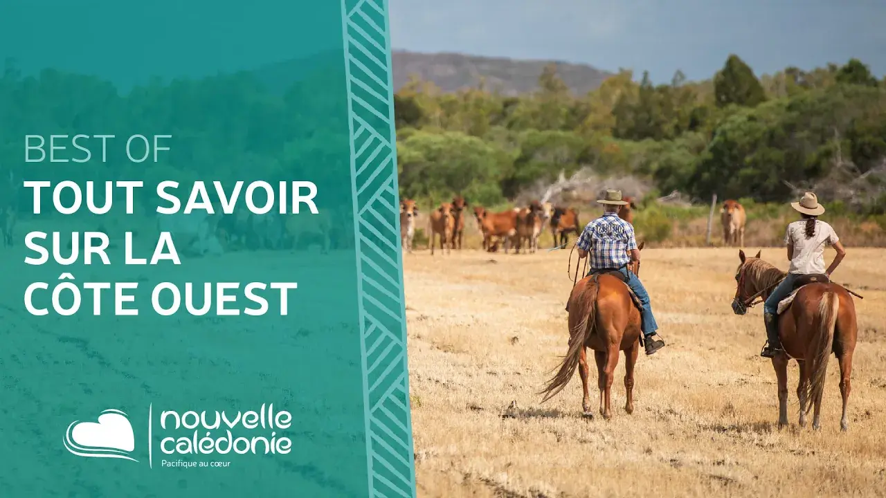 Tout savoir sur la Côte Ouest de la Nouvelle-Calédonie