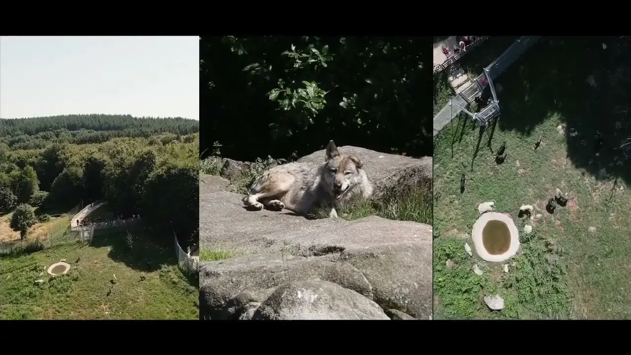 La forêt de Chabrières et ses mystères