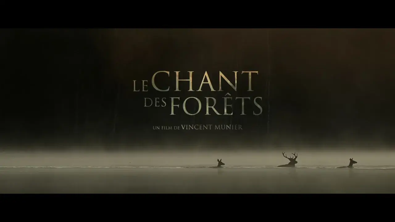 bande annonce le chant des forêts