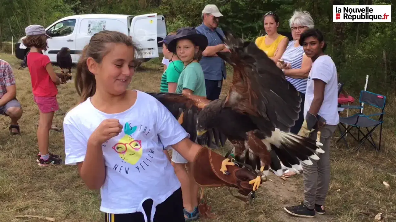 atelier fauconnerie au camping l'heureux hasard