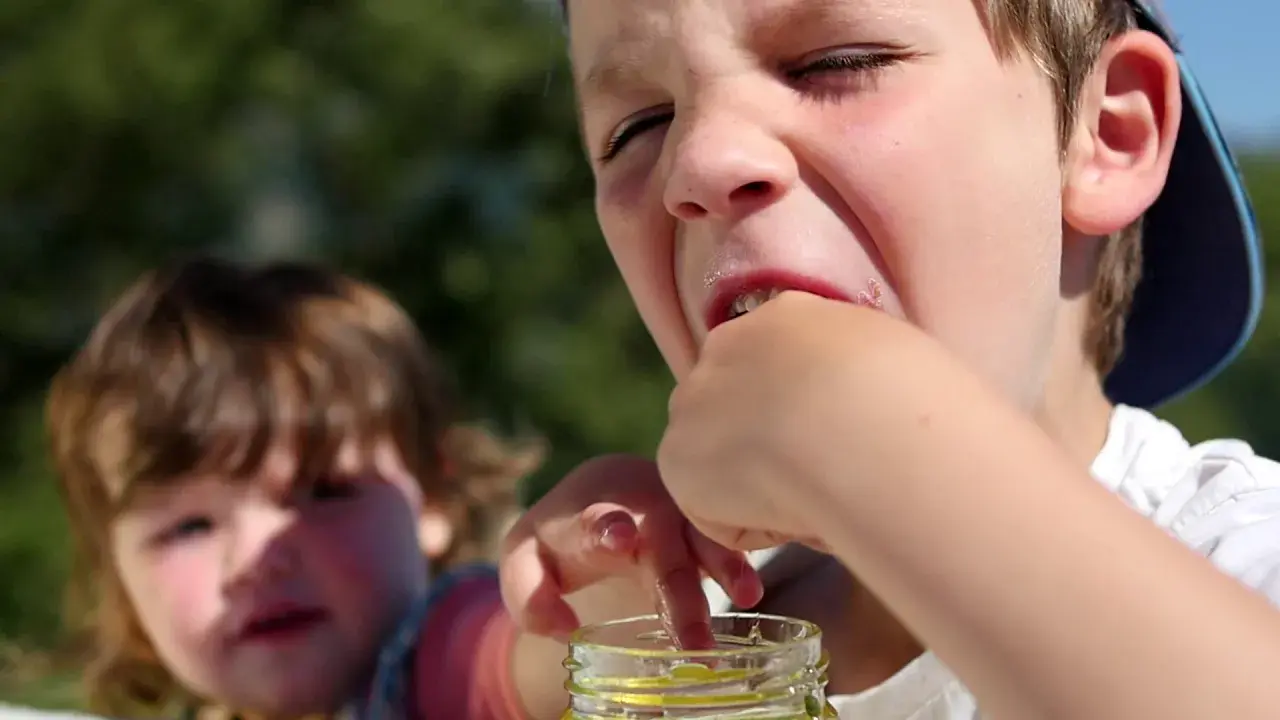 NOS MONTAGNES ONT DU GOUT