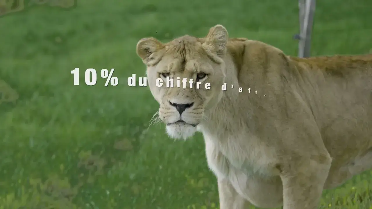 parc animalier d'auvergne