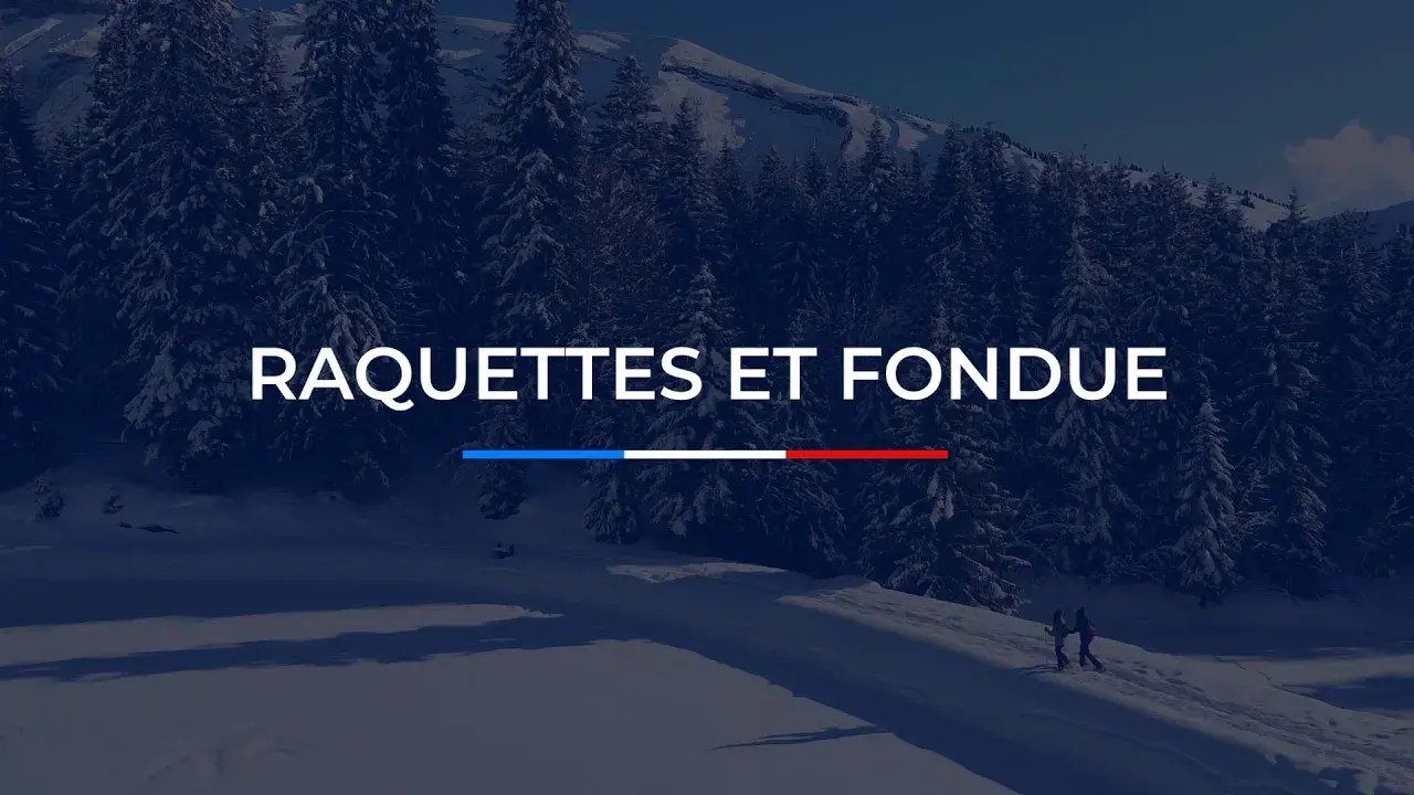 sortie raquettes et fondue au sommet