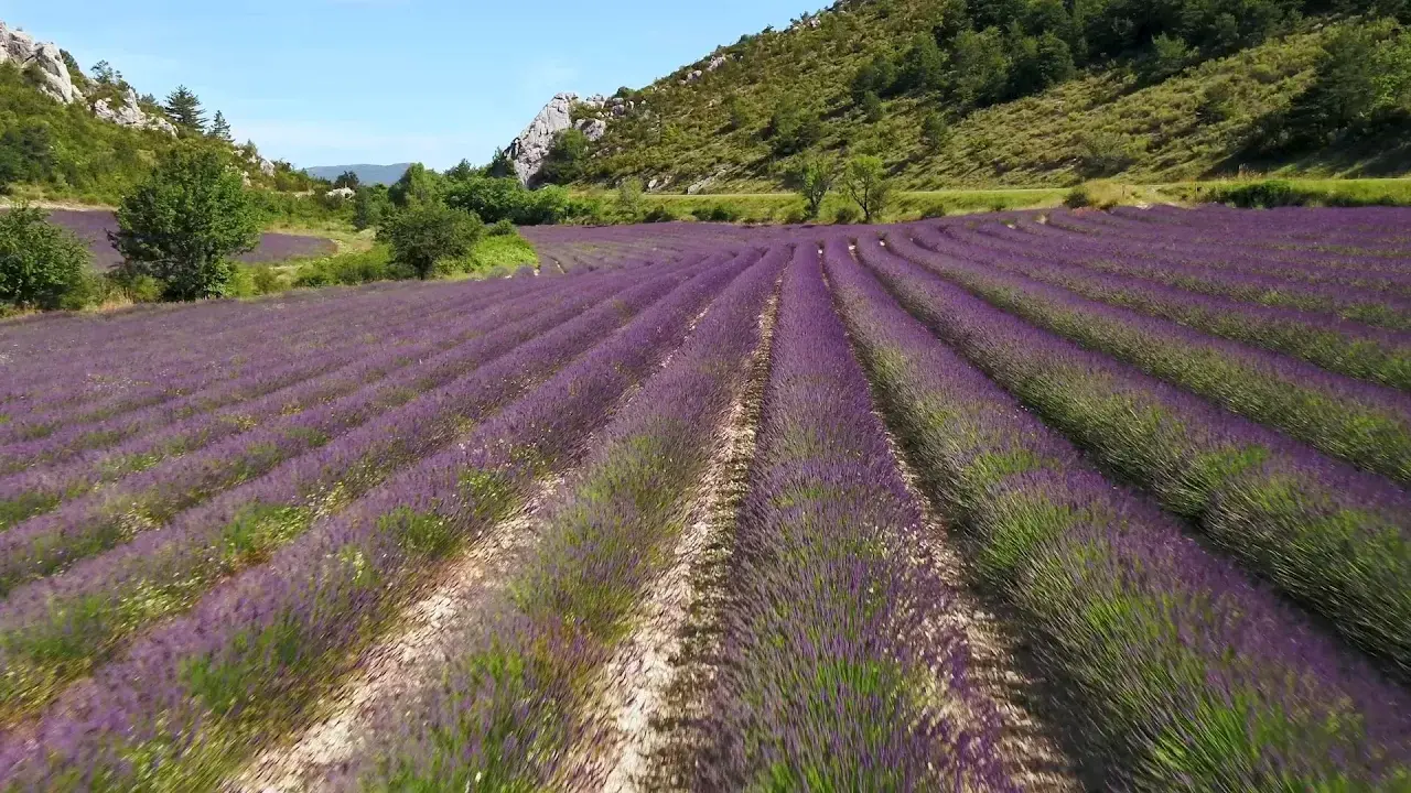 baronnies provençales - bande annonce
