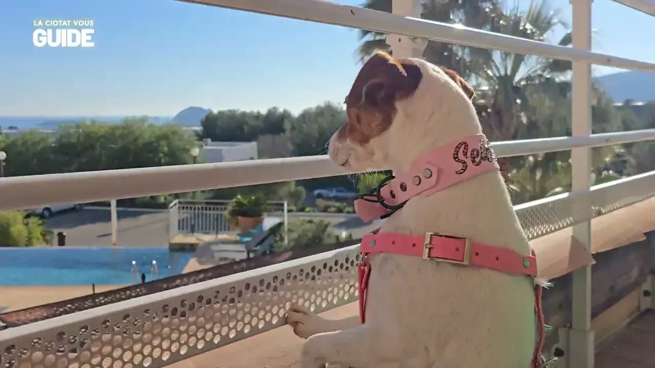 La Ciotat, ville labellisée Toutourisme