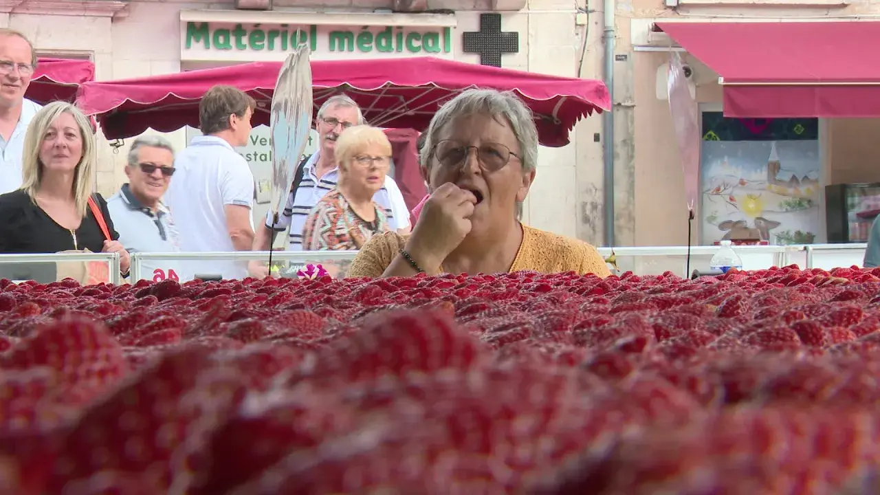 Fête de la fraise à Vergt