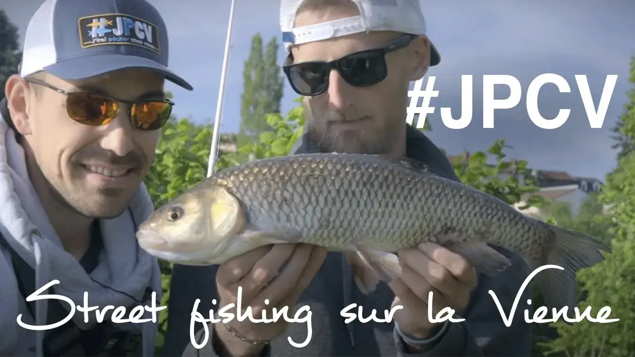 Street fishing et valse de Vienne sauce gribiche - #JPCV 8