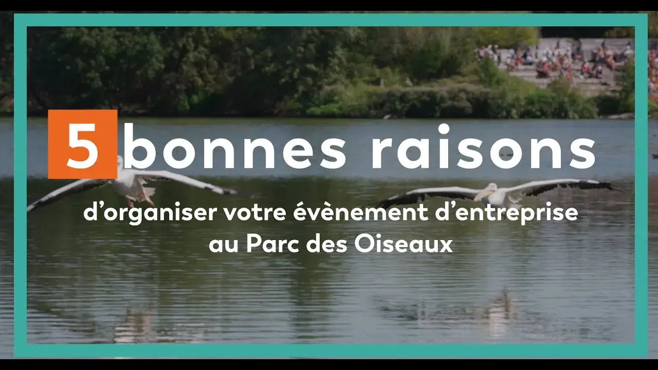 vidéo du parc des oiseaux à villars-les-dombes