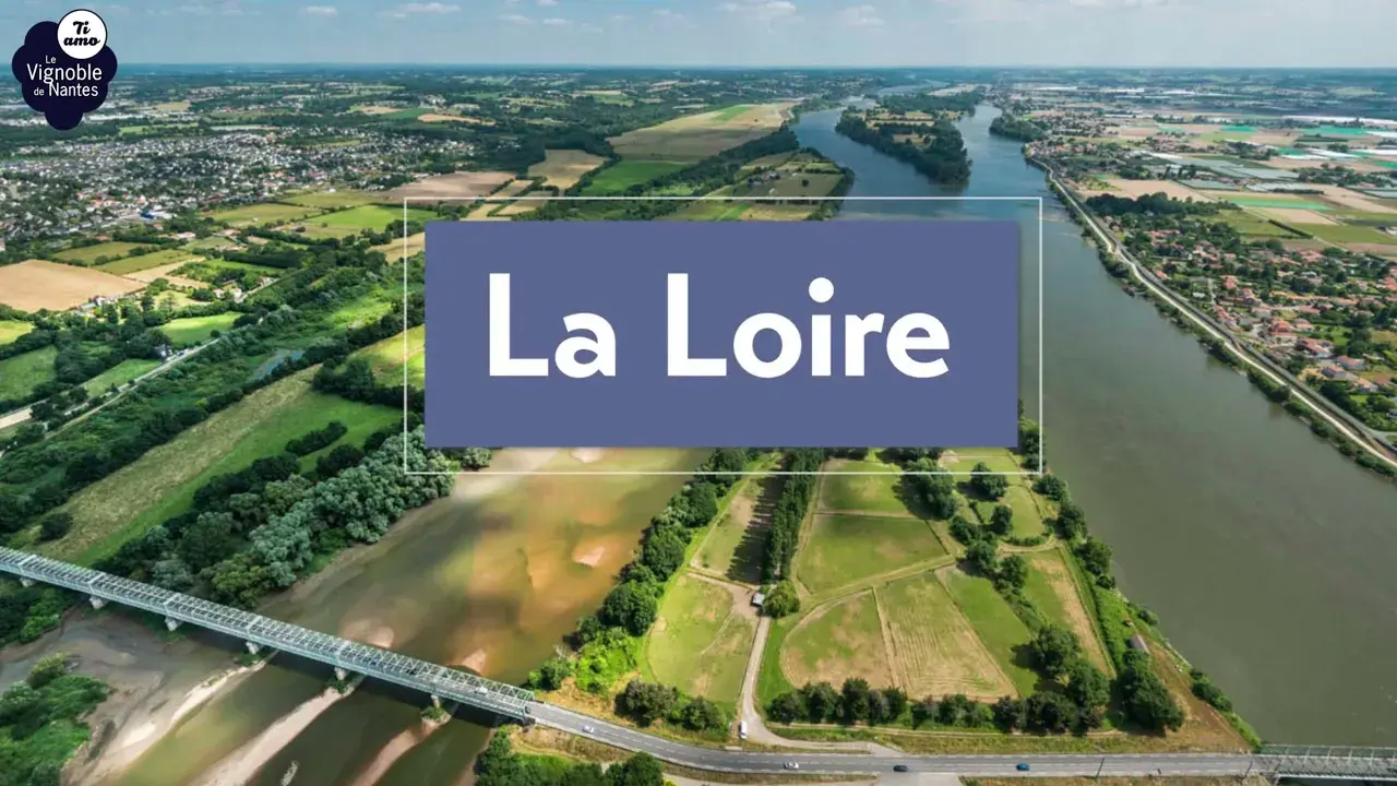 Découverte de la Loire