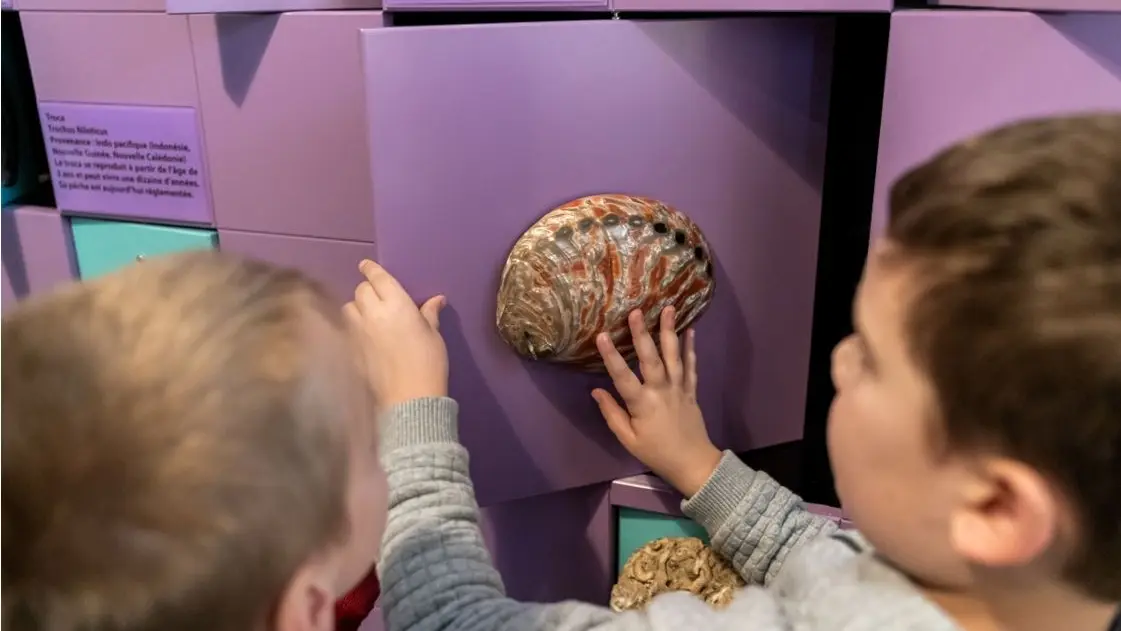 Visite - Groupe scolaire - 20 - Musée de la Nacre et de la Tabletterie