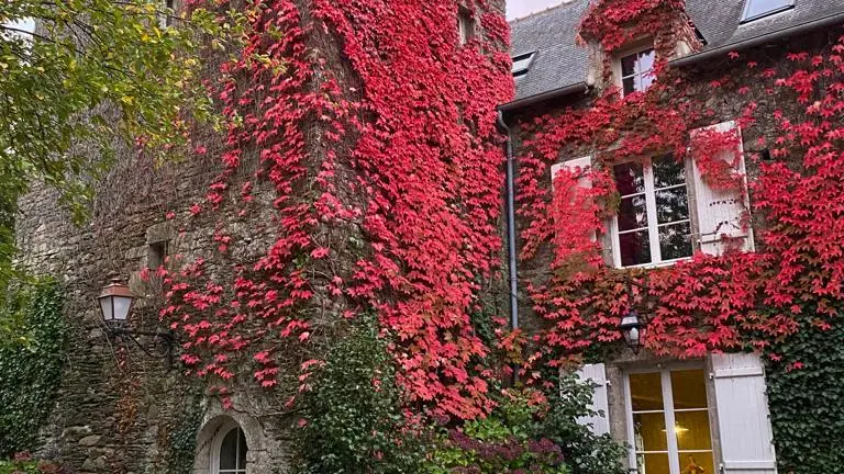 Manoir du Vau d'Arz - Gîte La Gacilly