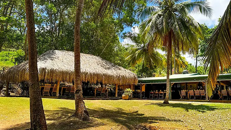 restaurant le point de vue martinique