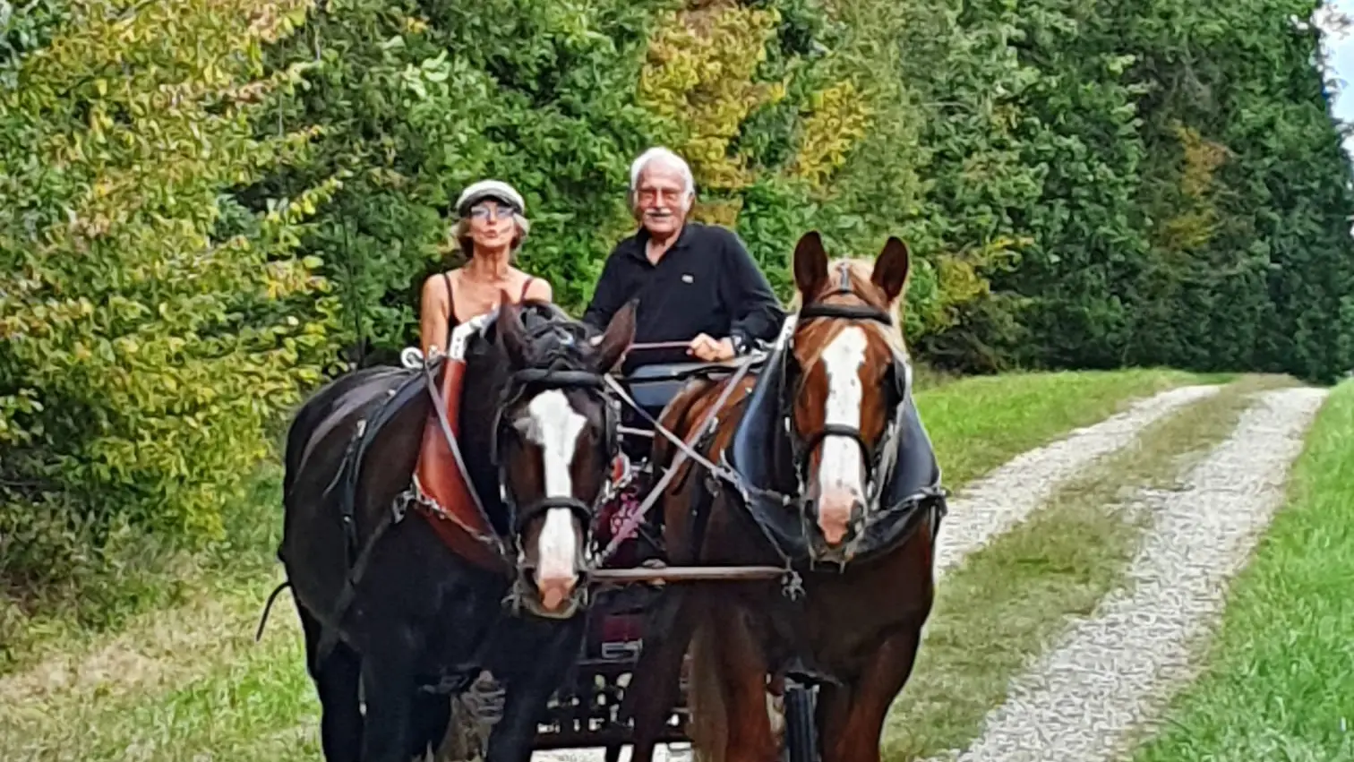 Sortie en forêt