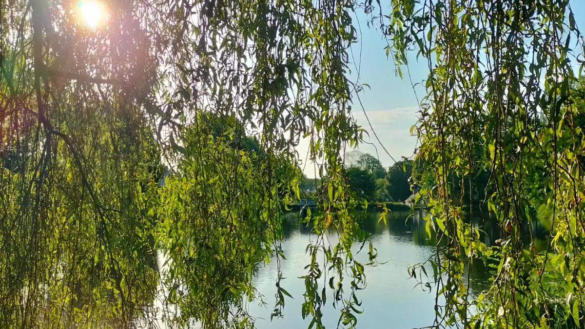 Etang de La Vraie-Croix