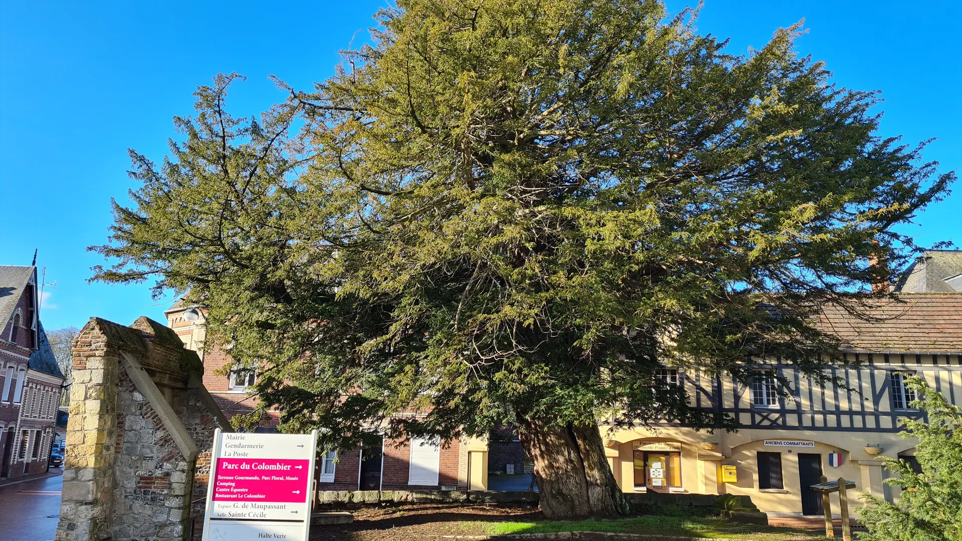 If millénaire d'Offranville